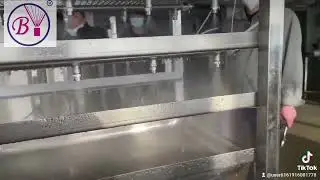 Full cone nozzle Food Tray Humidifying Shower
