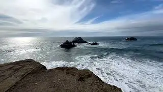 Cliff House / Sutro Baths 🌊🦤🦅🦭 Sep 29, 2025 #RoyExplores