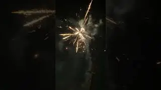 Spunky Monkey 36 shot #firework  #alienfireworks #500gcake