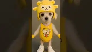This dog didn&rsquo;t wait for the beat 😳🔥