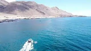 TaltalCrusoe Expediciones de Pesca...