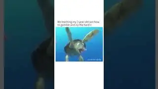 Not for everyone&hellip; but you&rsquo;ll figure it out bonus play. epic win, gambling | memes #bigwin / #1win