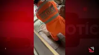 Bombeiros de Ctga realizam resgate de serpente em resid&ecirc;ncia na zona rural de Santa B&aacute;rbara do Leste