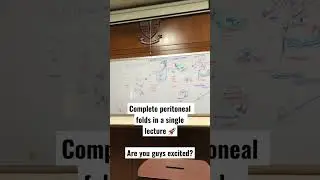 #peritonealfolds #peritoneum #abdomen #2ndyearmbbs #medicalstudent #mbbs #abdomenanatomy #shorts