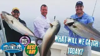 Heading to the Edge! 🎣 Offshore fishing out of Clearwater Florida