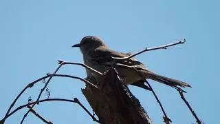 DSCN2484