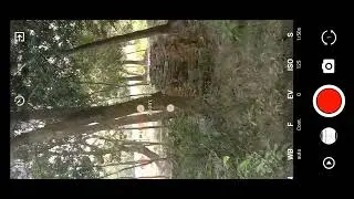 Procam x Camera App