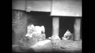 Artis zoo 1967 Amsterdam