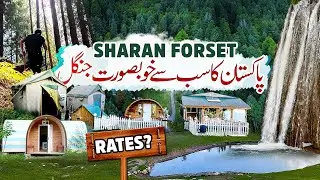 Visit The Most beautiful jungle of Pakistan | Sharan Forest | Naran Kaghan Valley
