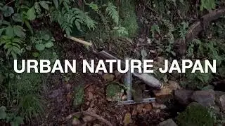 URBAN NATURE JAPAN:EP1 Hiking near the city and Traditional Japanese Shishi-odoshi.
