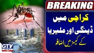 Dengue and Malaria Cases Increasing in Karachi | Breaking News