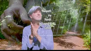 Beneath My Hands by Leonard Cohen