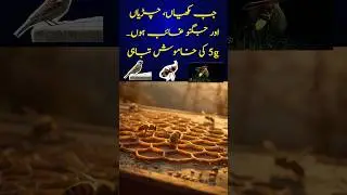 &ldquo;When Nature Falls Silent &mdash; The Hidden Cost of Connectivity&rdquo;#NatureWarning #5GImpact #SaveTheBees