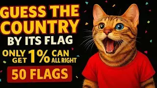 ✅ 50 Flags Quiz Challenge &ndash; Can YOU name all 50 flags #flagquiz #guessflags