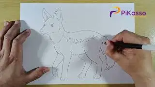 How to Draw a Jackal Easy