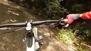 2020/05/04 S山H林道 下り Trek Stache9.7