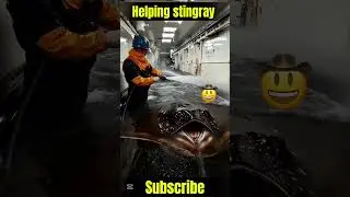 Part 2 