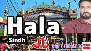 Hala city vlog | Market and culture explore | Hyd to Hala #travelvlog #vlogger #familyvlog