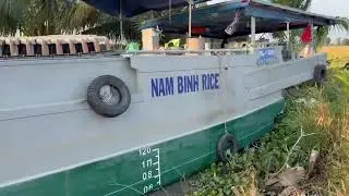 Cò bay gẫy cánh là có thật nhé mọi người.