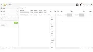 Layer Editor