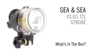 Sea & Sea YS-D1 TTL Strobe &mdash; что в коробке?