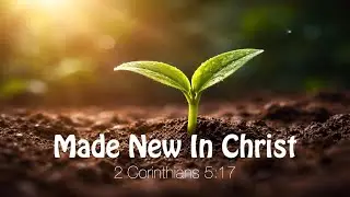 Made New in Christ -- 2 Corinthians 5:17 -- A New Year's Message