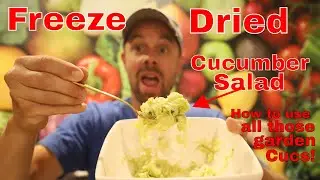 Freeze Dried Cucumber Salad -- Use Up Your Garden Cucumbers #freezedriedcucumber