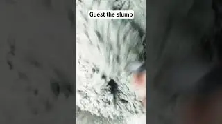 Guest the slump bro #concrete #slump #concretework #concreto #concretelove #fyp
