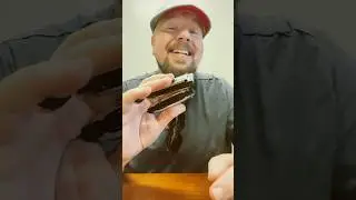 Hohner Marine Band vs Special 20 #harmonica #bluesharp