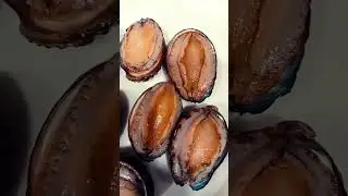 #abalone,ready to #cook#seafood #shorts #shortvideo