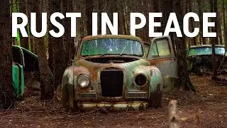 Nature is slowly absorbing all of these amazing cars