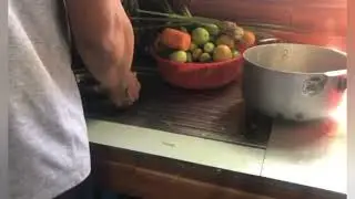 Procedure for cooking sea shells or
