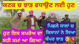 ਕਣਕ ਚ ਝਾੜ ਵਧਾਉਣ ਲਈ ਹੁਣ ਇਹ ਸਪਰੇਅ ਦਾ ਸਹੀ ਸਮਾਂ ਆ ਗਿਆ | Best NPK to increase yield in wheat crop 
