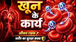 रक्त कैसे काम करता है? | Physiology of Blood | REENA PRAJAPATI