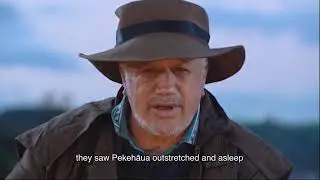 The Taniwha Pekehaua
