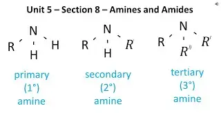 How to Name and Draw Amines and Amides