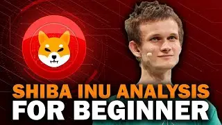 Shiba Inu Analysis | SHIB Explained For Beginners
