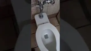 Toilet flushing sounds like the PURGE siren