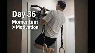 Day 36: Momentum Over Motivation