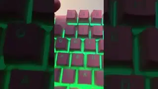 FIX Windows Search not working