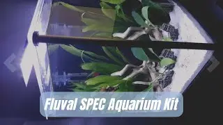 Fluval SPEC Aquarium Kit, Aquarium with LED Lighting and 3-Stage Filtration System, 5-Gallon