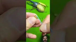 Do You Want This Fish Hook? | Must-Have for Every Angler