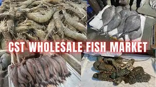 Mumbai CST Wholesale Fish Market Latest| Biggest Wholesale Fish Market| Cheap Fish Market in Mumbai🐟