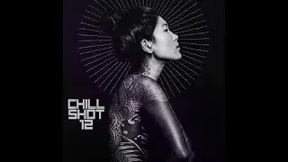 Chill Breakbeat Shot 12 (november 2021 releases live mix)