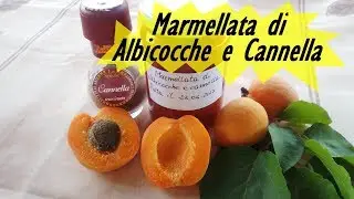 MARMELLATA ALBICOCCHE E CANNELLA FATTA IN CASA da Alex e PG
