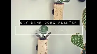 DIY project - Succulent wine cork magnet