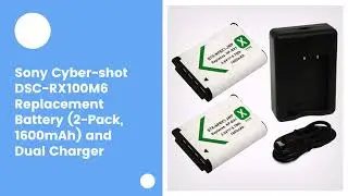 Sony Cyber-shot DSC-RX100M6 Replacement Battery (2-Pack, 1600mAh) and Dual Charger