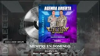 Siempre En Domingo | Walter Le&oacute;n y La Eleccion De Oaxaca
