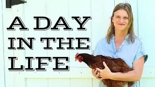 REAL Life As A Homesteading Mom #dayinthelife #homesteadvlog #momvlog