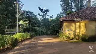 Beauty Of Nature | Jharkhand Tourism | Maromar Rest House | Palamu Tiger Reserve |😊